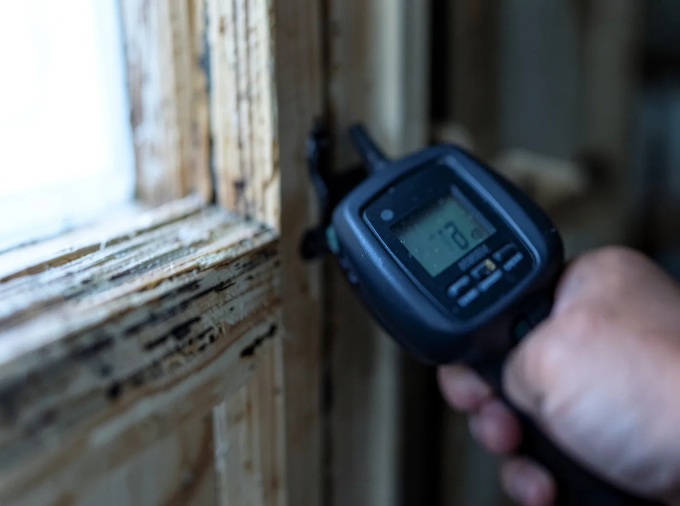 Moisture Inspection And Documentation in Windsor Mill, MD